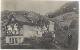 LANDWIRTSCHAFT/BAUERNHAUS/WEBERHAUS 1916 Toggenburg SG