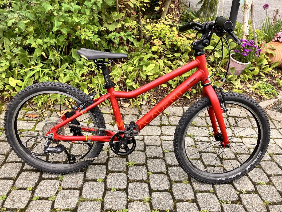 Academy 4 Kinderfahrrad 20 Zoll, Rot (Gebraucht) in Murten fr CHF 150   nur Abholung auf Ricardo kaufen