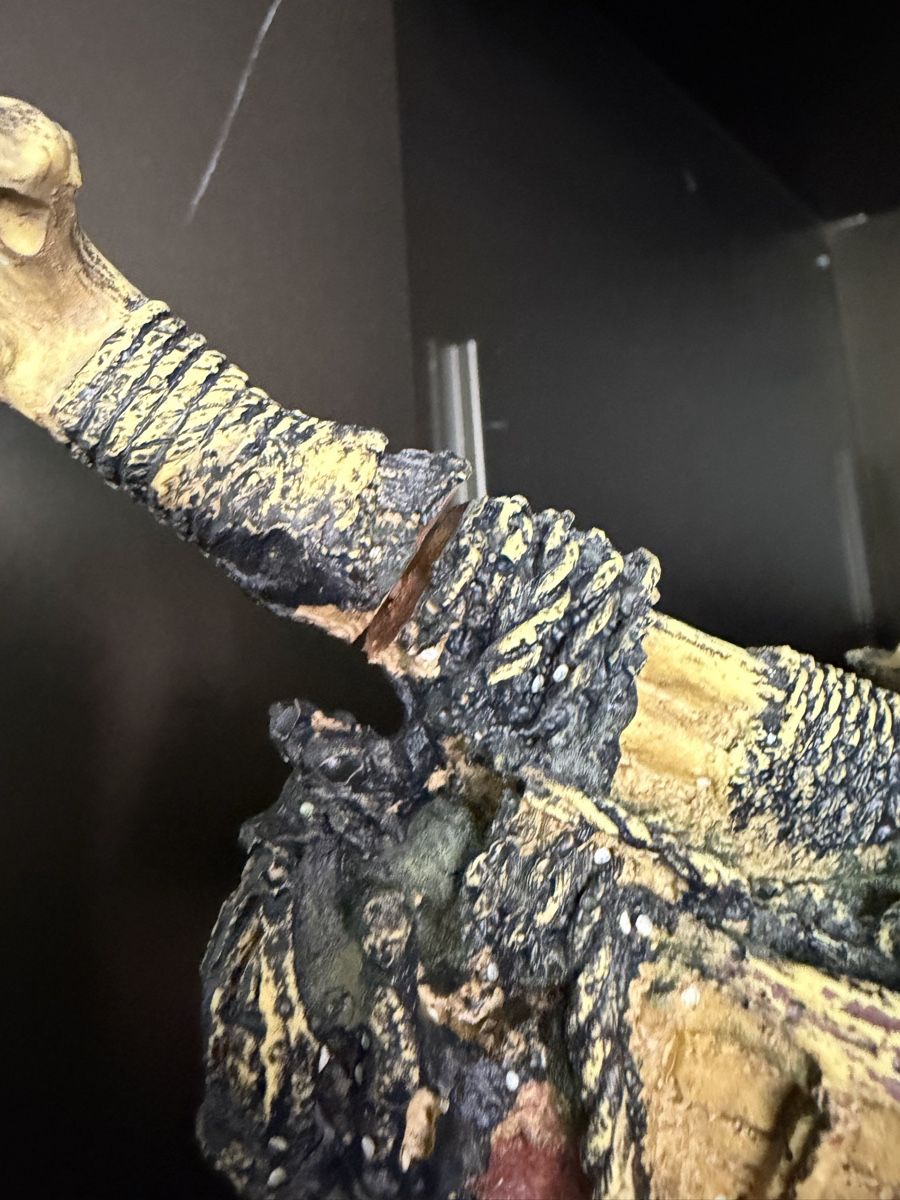 Tutte le decorazioni: Aquarium Shipwreck Decoration – Usato da Altendorf venduto da Angie__Z 2