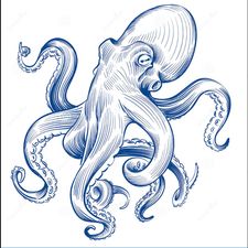 Profile image of Reggedyn