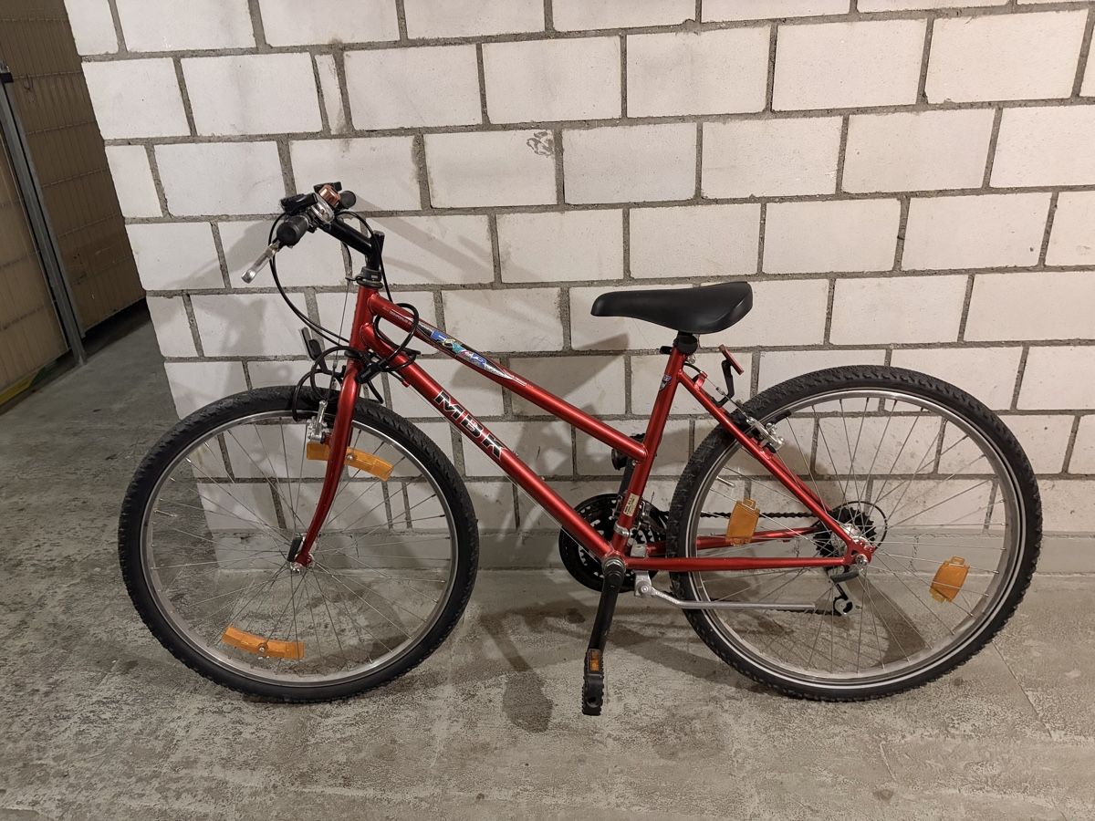 Biciclette: Rotes Velo – Usato da Winterthur venduto da emi_cgg7