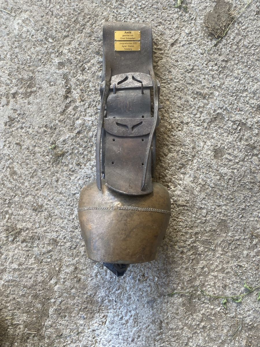 Campanacci mucche: Treichel  Glocke – Usato da Menzingen venduto da Edelmuni7