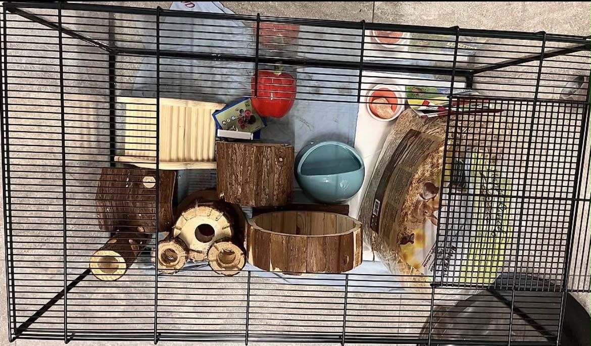 Gabbie, trasporto & Sicurezza: Tierkäfig für Hamster oder Mäuse – Nuovo (secondo la descrizione) da Romanshorn venduto da ALFAHOESI33
