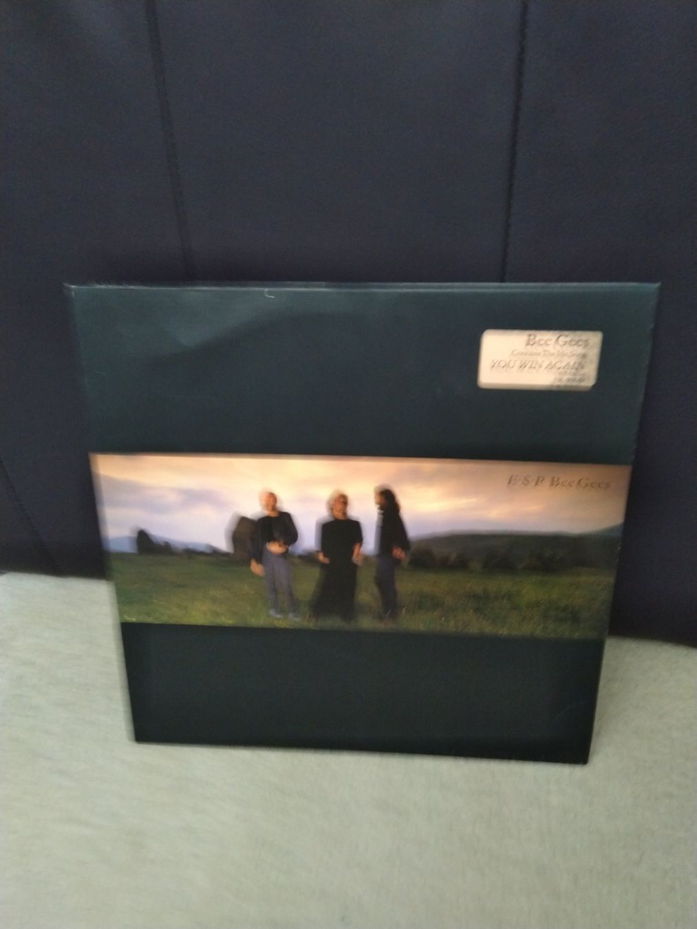 Dischi in vinile: The Bee Gees - ESP  Vinyl LP 1987 – Usato da Hinwil venduto da liliane2011