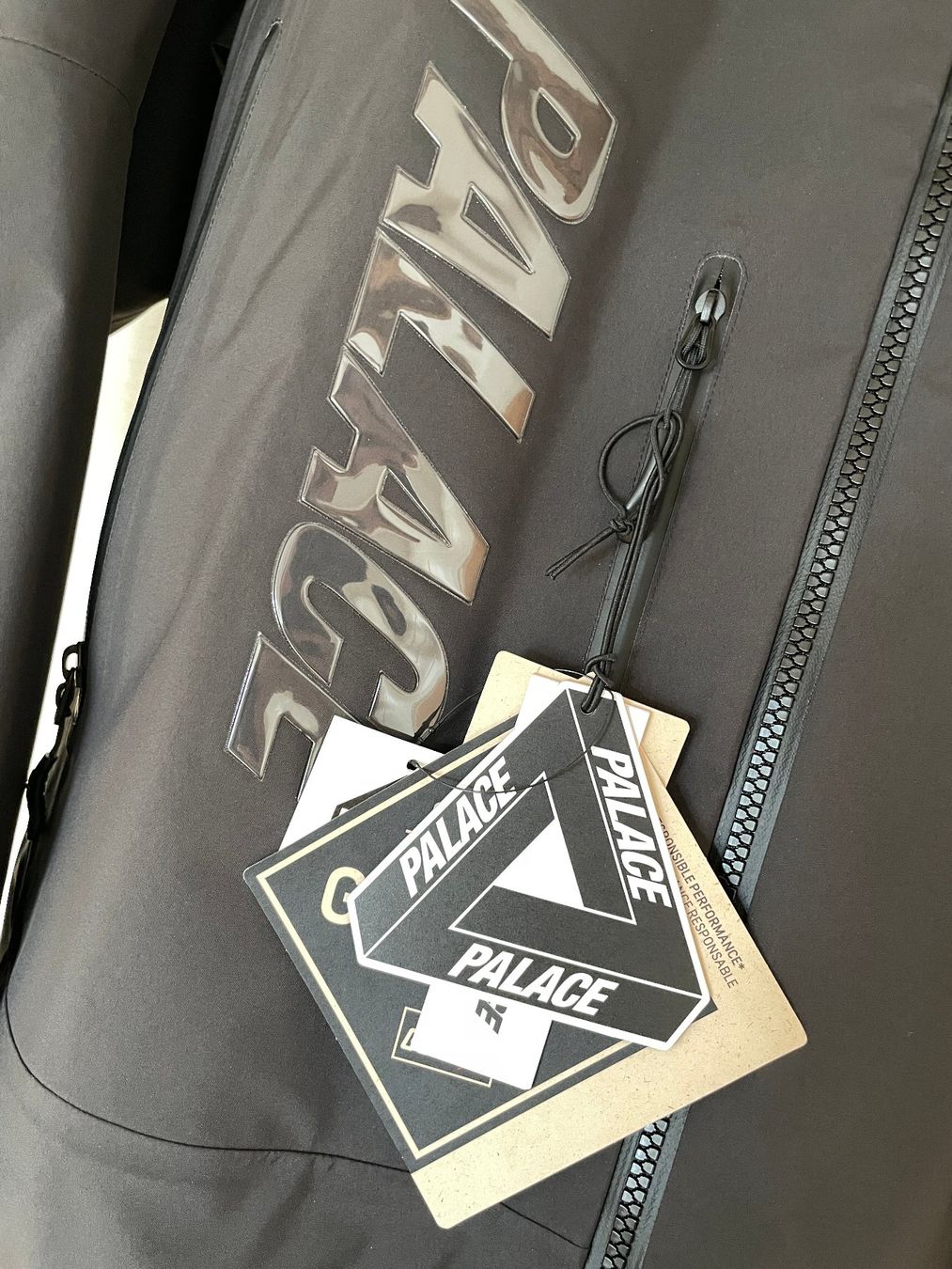 Giacche: Palace Gore-Tex 3L Palex Jacket Black Large – Nuovo (secondo la descrizione) da Schaffhausen venduto da mar_mfl9 5