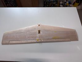 Robbe Rasant Speed Flügel