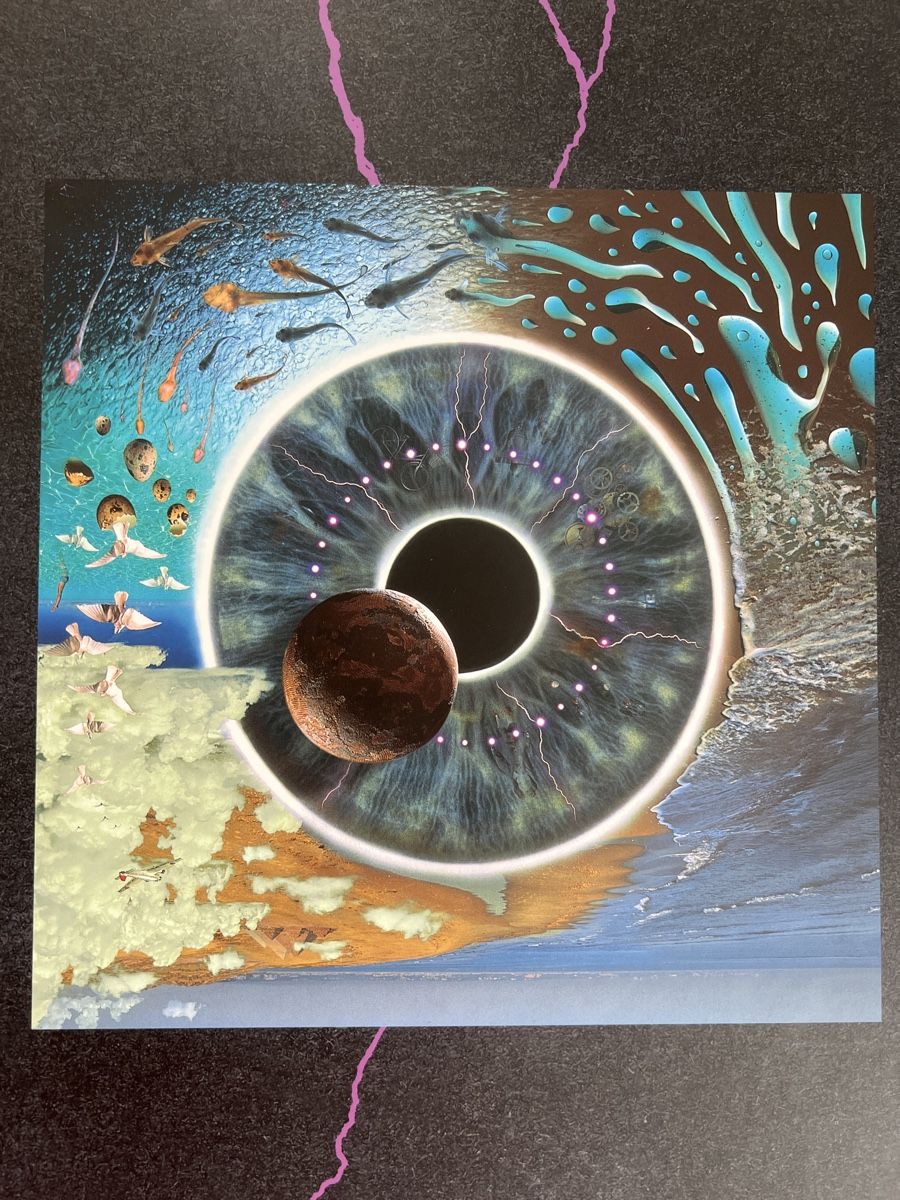 Schallplatten: Pink Floyd Vinyl Sammlung "Discovery" Box Set! Top! – Neu und originalverpackt aus Wettingen von stern910 3