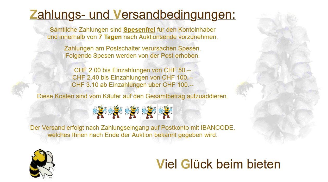 Kamera: Le Foldins Couronne Jugendstil mit Zubehör – Gebraucht aus Schmitten FR von fliessigs_Biendli 8