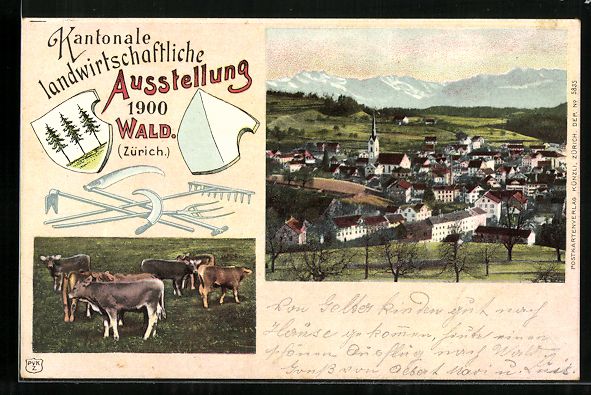 Cartoline postali: Wald, Kantonale Landwirtschaftliche Auss – Usato da Berlin venduto da bartko-reher