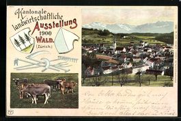 Wald, Kantonale Landwirtschaftliche Auss