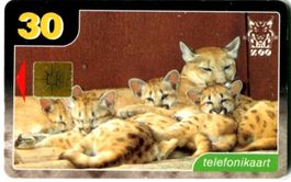 Telefonkarte "Puma". Estland