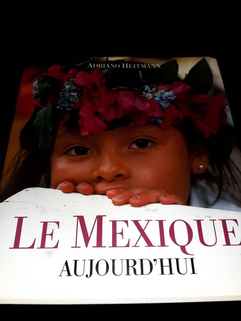 Libri: Le mexique aujourd'hui – Usato da Le locle venduto da juliensaran