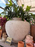 PTMD Topf/Vase