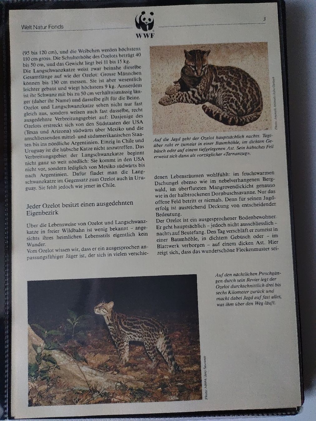 Tutti i francobolli: WWF Ozelot Langschwanzkatze Briefmarken Sammlung – Nuovo (secondo la descrizione) da Greifensee venduto da Retepw 2