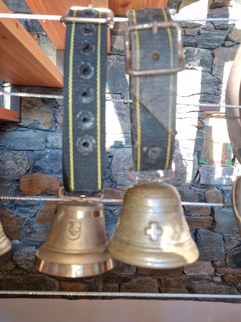 Campanacci mucche: Ziegen-Schafglöggli – Usato da Guarda venduto da rue_bpd7