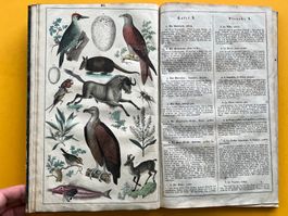 Neues Bilderbuch 1842 - 29 kolorierte Tafeln und Weltkarte