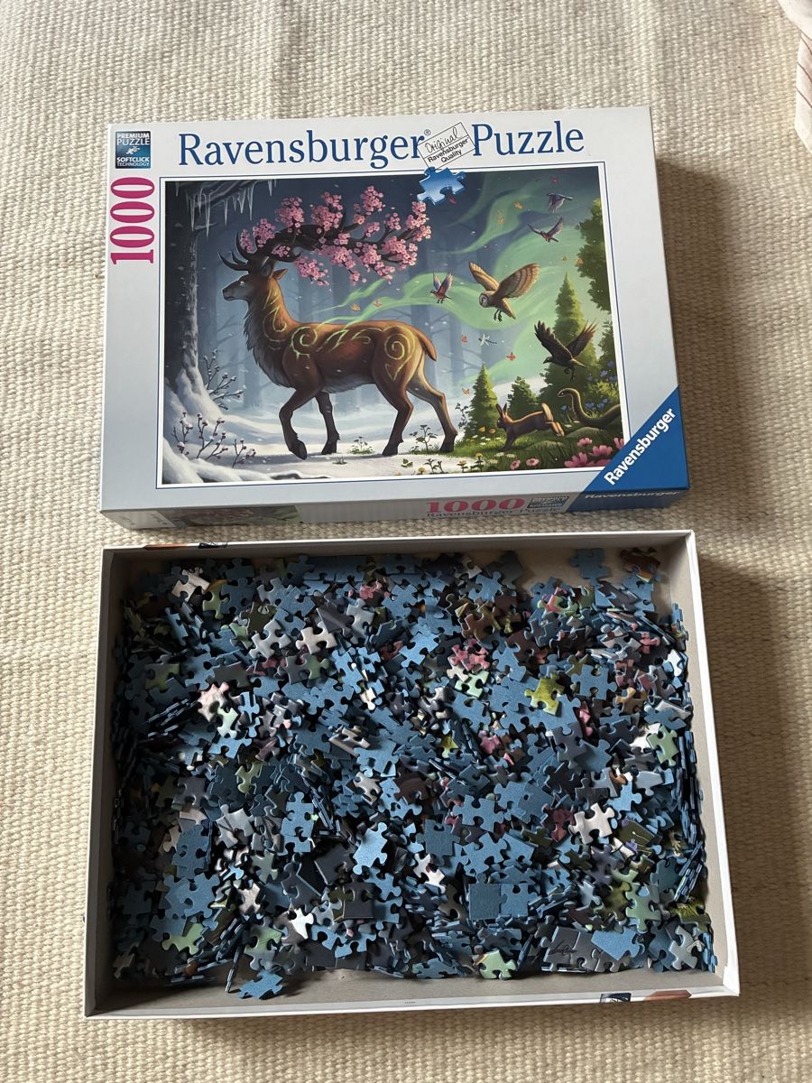 Ravensburger Puzzle: Ravensburger Puzzle 1000 – Usato da Bern venduto da wisemagpie 1
