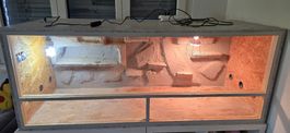 Terrarium 150x60
