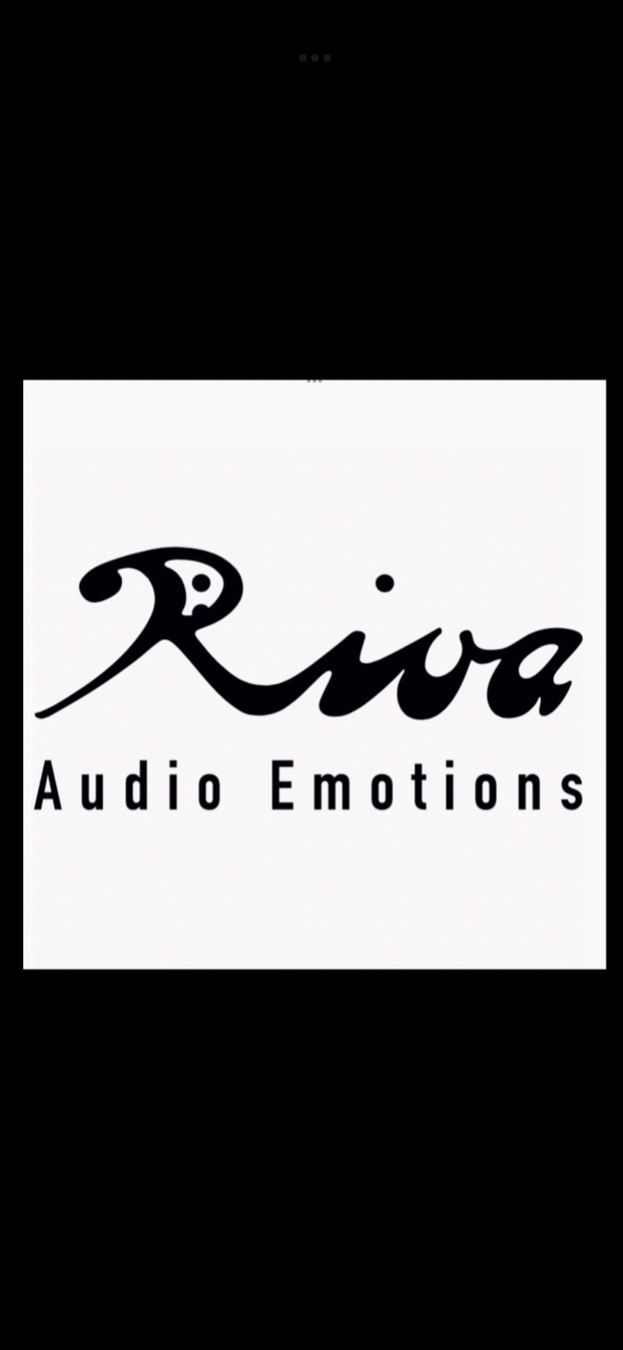 McIntosh Amplificatori: LISTENING SESSIONS / BARS - McIntosh MC1201 – Usato da Wald ZH venduto da RIVAAUDIOEMOTIONS 9