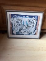 Bild Rolf Knie Tiger Kunstdruck gerahmt 41 x 51 cm