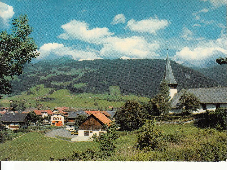 Cartoline postali: Zweisimmen 1981 – Usato da Bürglen TG venduto da StampGraf