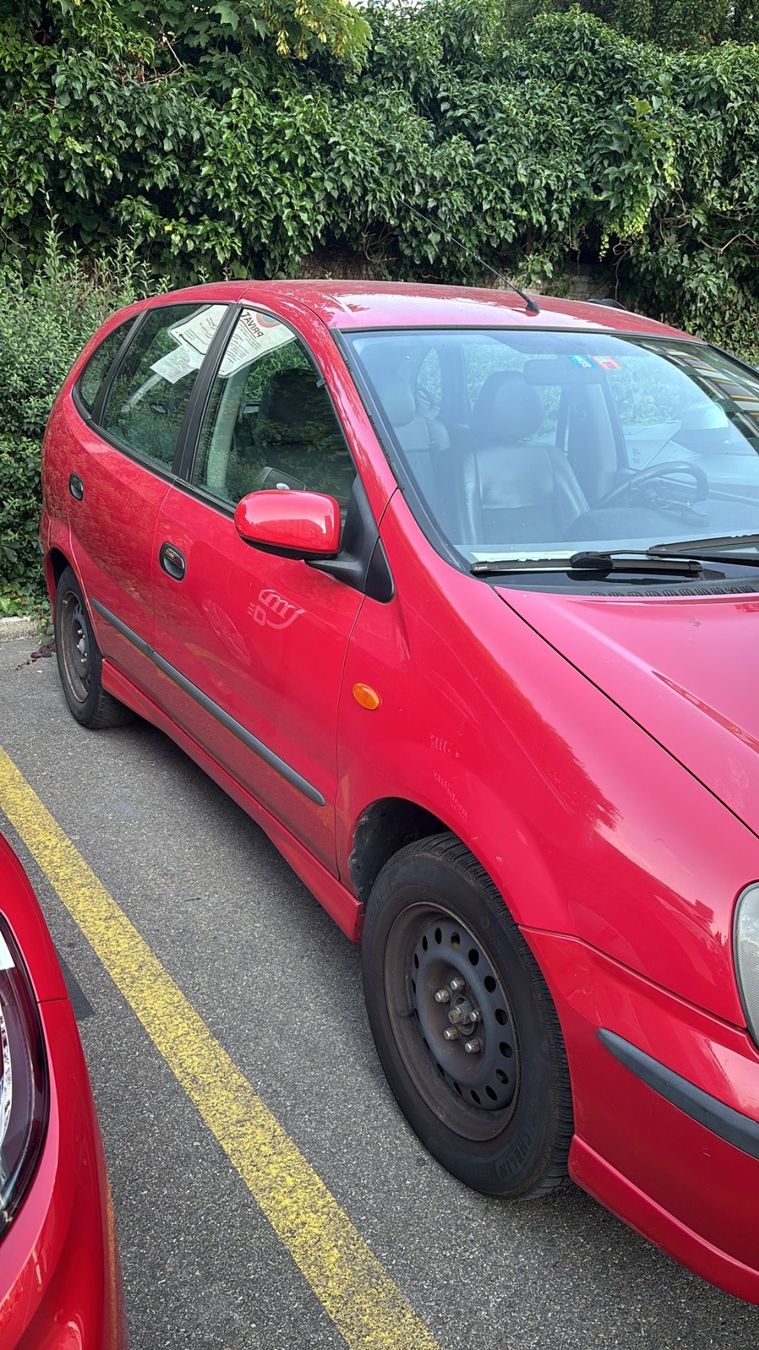 Nissan Automobili: Nissan Almera ab 1.- – Usato da Bülach venduto da GlasiCity8180 1