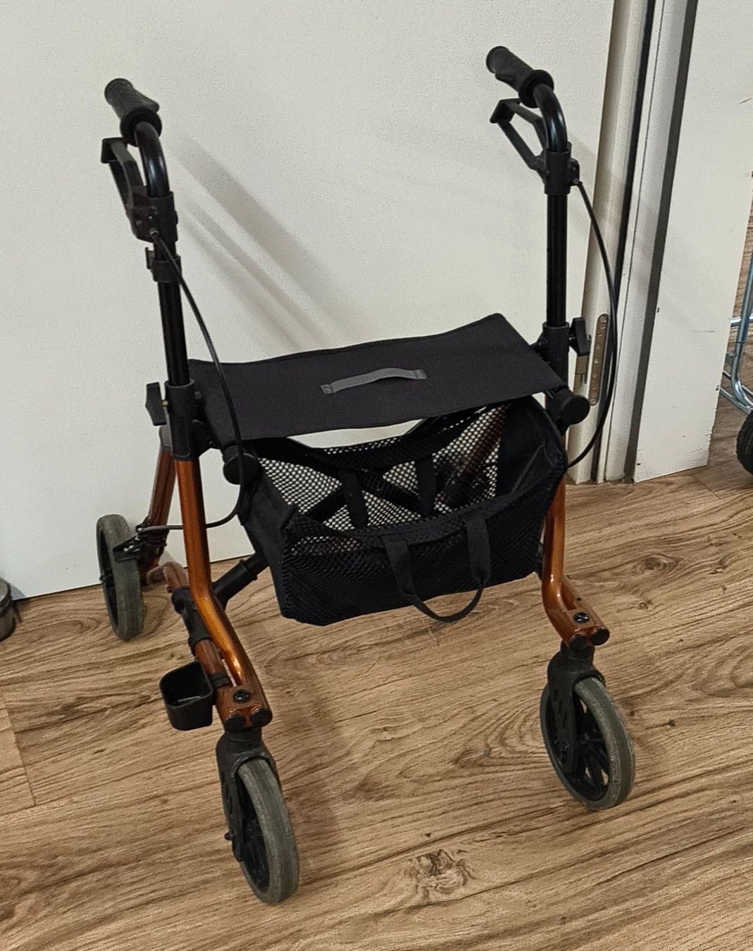 Gehhilfen: Rollator Taima M – Gebraucht aus Basel von bk_brockibasel