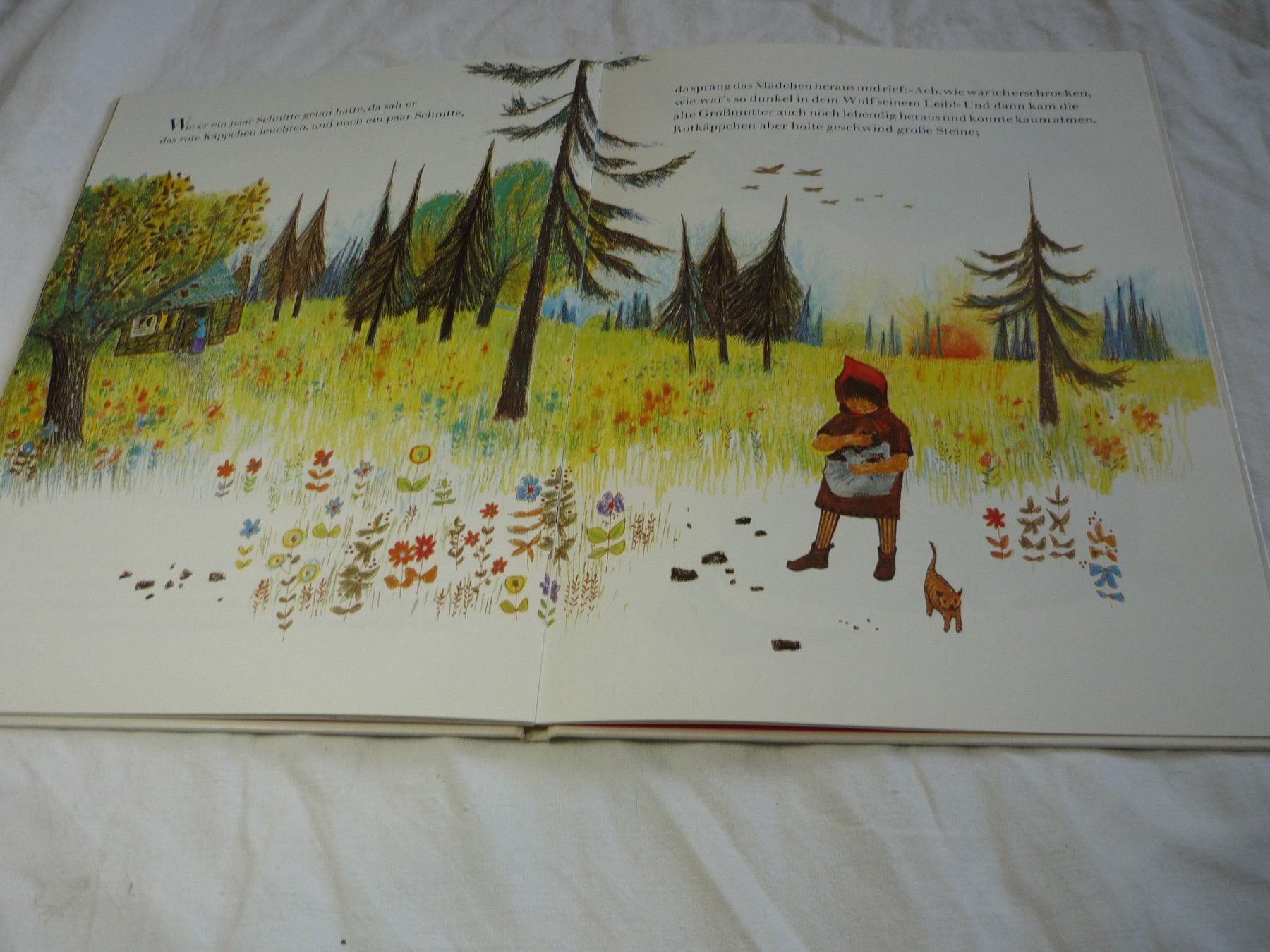 Libri: Kinderbuch - Rotkäppchen - Bernadette Nord Süd – Usato da Beringen venduto da Flatretriever 2