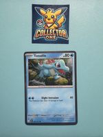 Pokemon Totodile Promo Holo mega schön