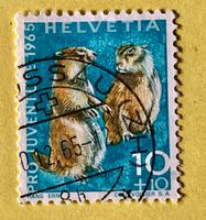Nr.J 211 GESTEMPELT Alpenmurmeltier 1965 