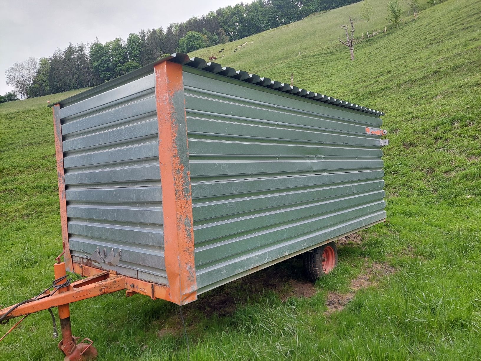 Anhänger: Viehanhänger – Gebraucht aus Rümlingen von Nero036 1