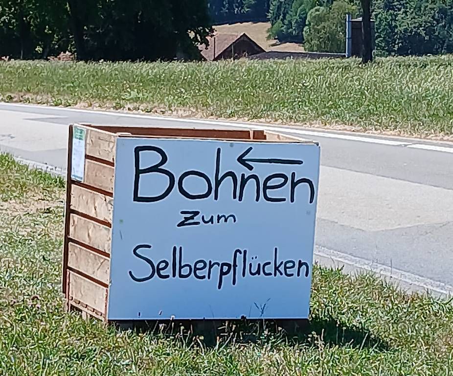 Lebensmittel & Spezialitäten: Bohnen zum Selberpflücken – Gebraucht aus Grosswangen von sugus012 2