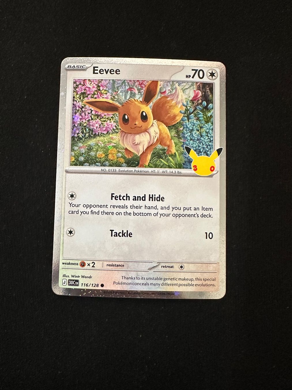 Pokémon Carte collezionabili: Eevee Pokémon 30th Celebration Englisch – Nuovo (secondo la descrizione) da Therwil venduto da Goga124