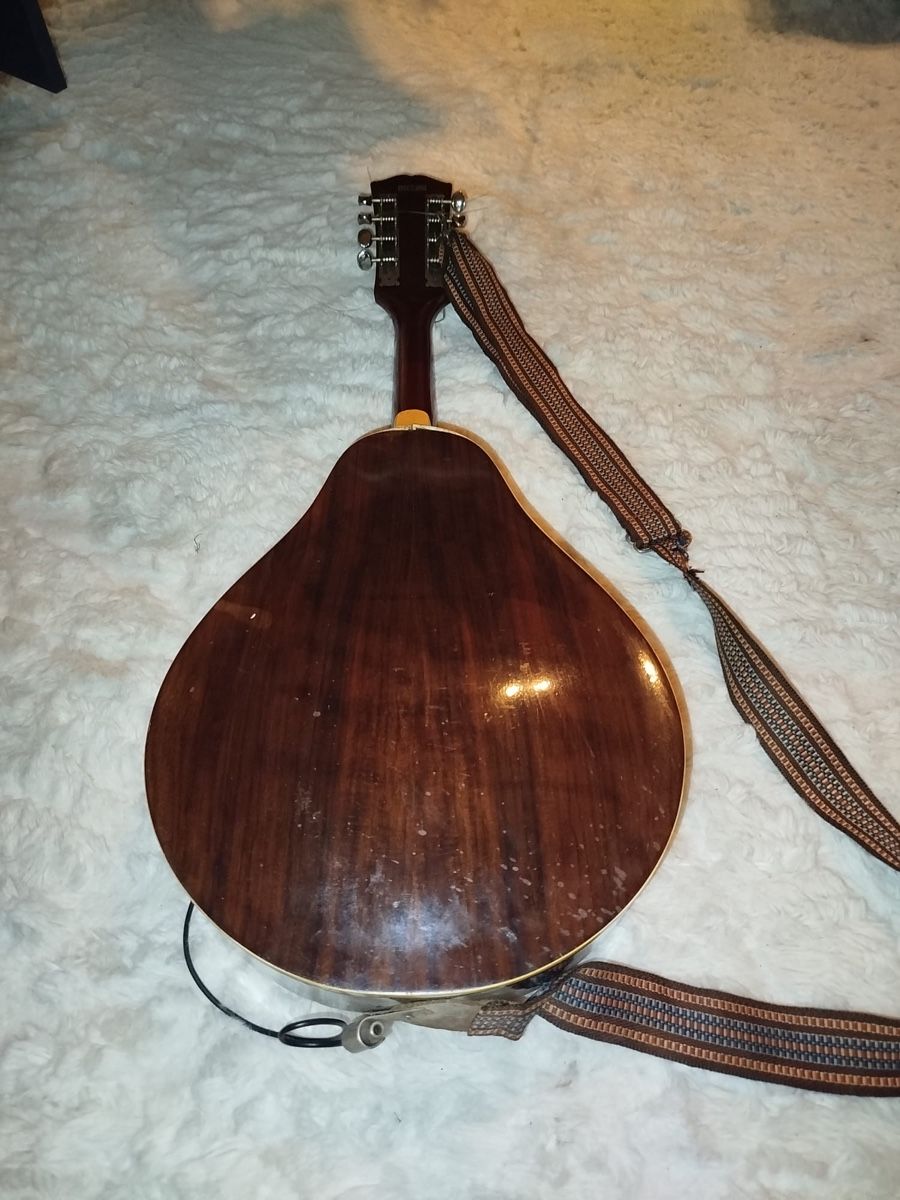 Epiphone Strumenti musicali: Vintage Epiphone Mandoline – Usato da Schönenbuch venduto da ElStigg 1