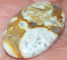 Cabochon L-843 – Cobra Jaspis