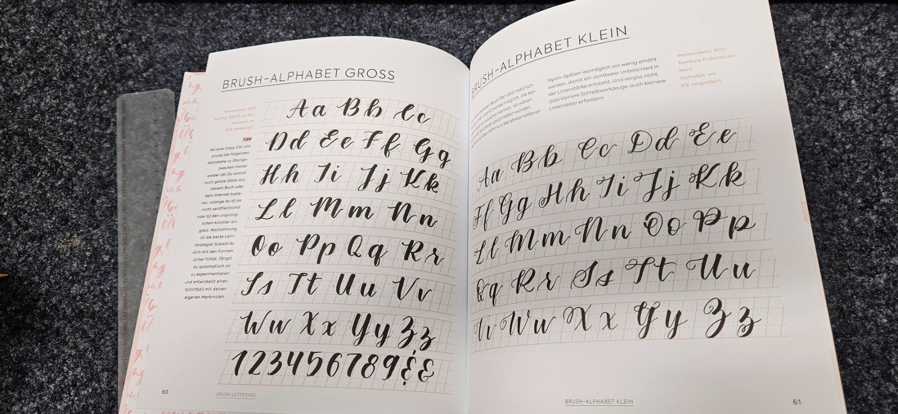 Libri: tolles Handletteringbuch – Usato da Balgach venduto da silvia2030 2