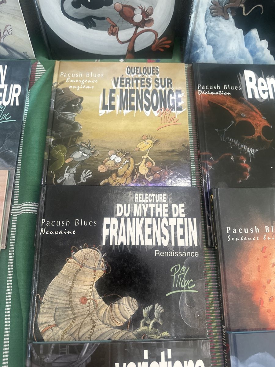 Fumetti: Pacush Blues Comic - 7 Bände - guter Zustand – Usato da Winterthur venduto da bar_2tkj 6