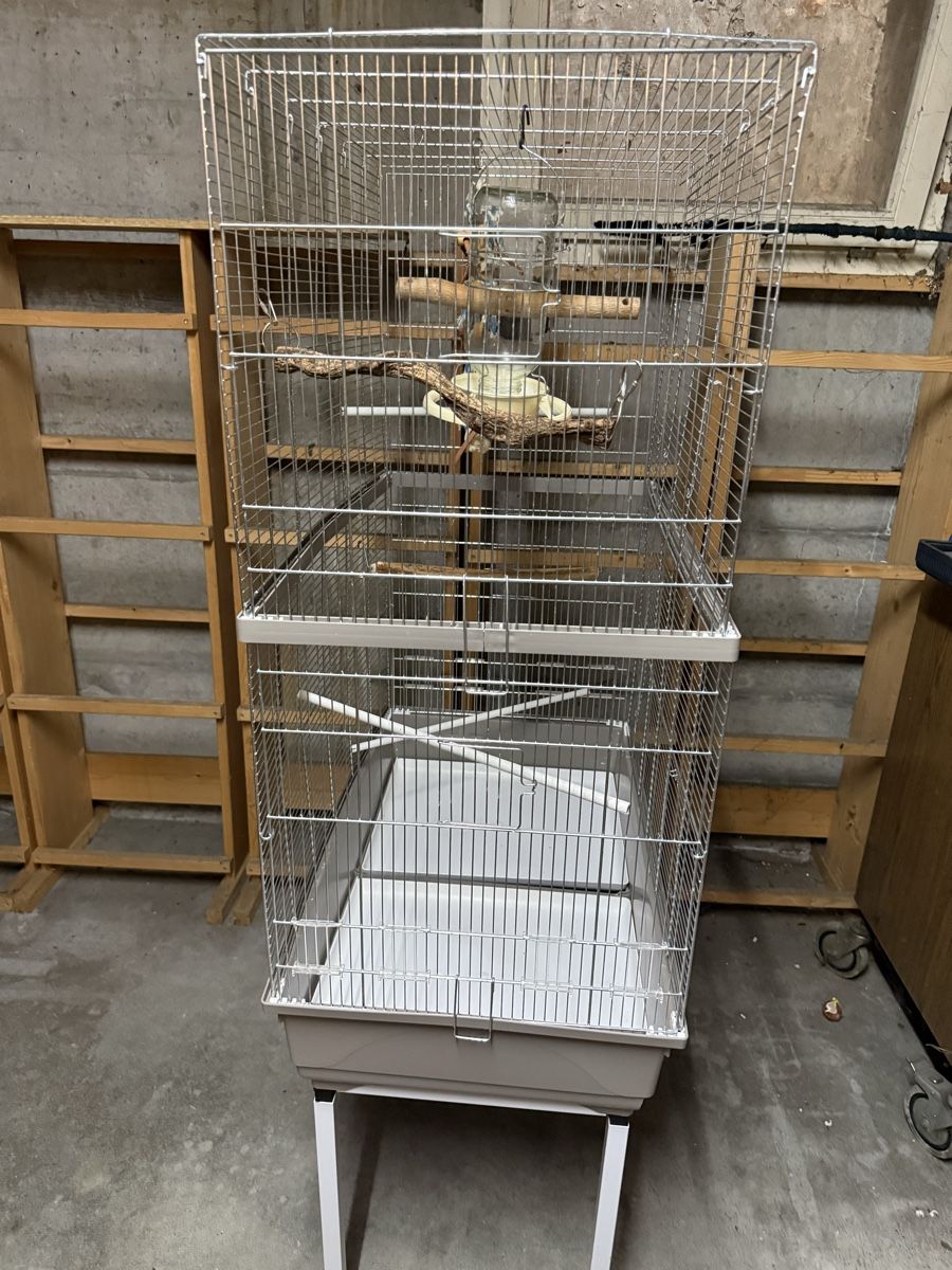 Gabbie, trasporto & Sicurezza: Cage à oiseaux grande taille avec accessoires bon état – Usato da Pully venduto da UCA01