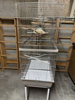 Cage à oiseaux grande taille avec accessoires bon état