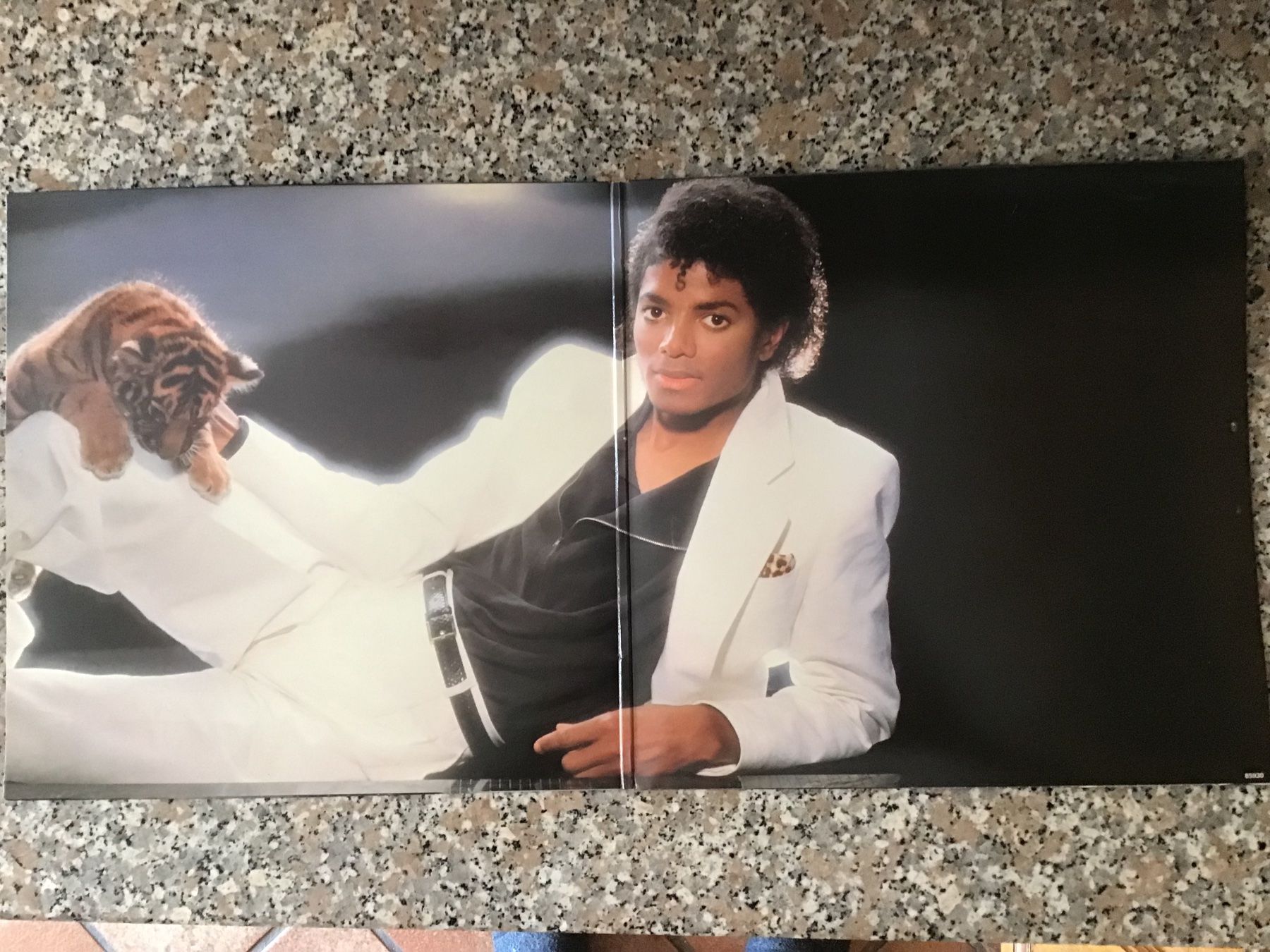 Dischi in vinile: LP Michael Jackson – Usato da Fully venduto da Ruby97 2