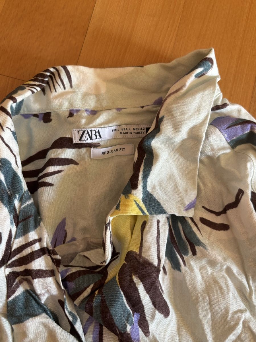 Hemden: Zara Men shirt Bird L – Gebraucht aus Chexbres von doe_xns6 1