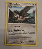ETOURVOL 52/100 DIAMANT & PERLE TEMPÊTE VINTAGE 2009 FR 