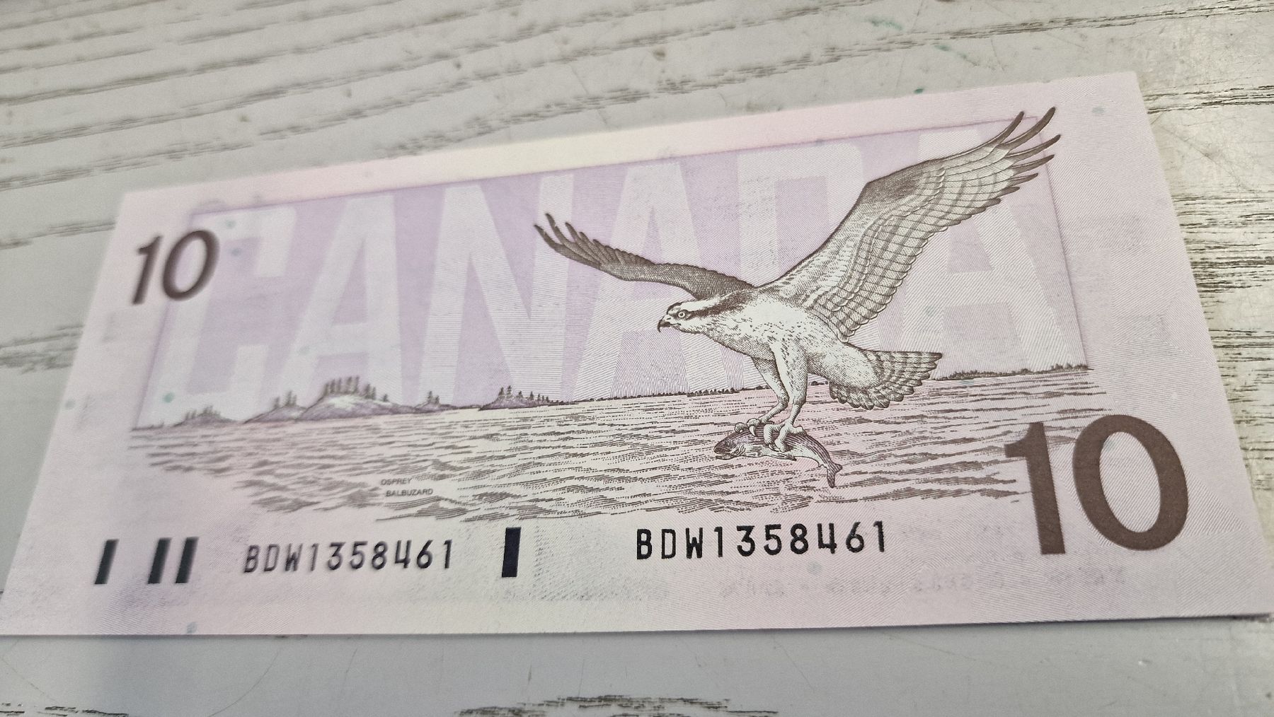 Banconote: Kanada 10 Dollar Noten Ottawa 1989 – Nuovo e nell'imballaggio originale da Herisau venduto da Antiques.AR 1