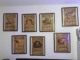 Cadres équipage Luffy