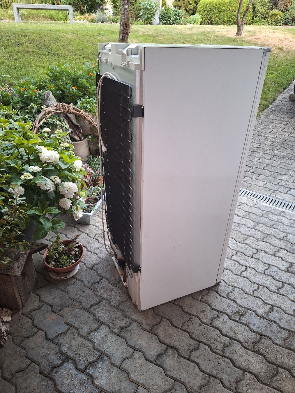 Electrolux Kühlschrank: Kühlschrank Electrolux – Gebraucht aus Uetendorf von Albi125 2