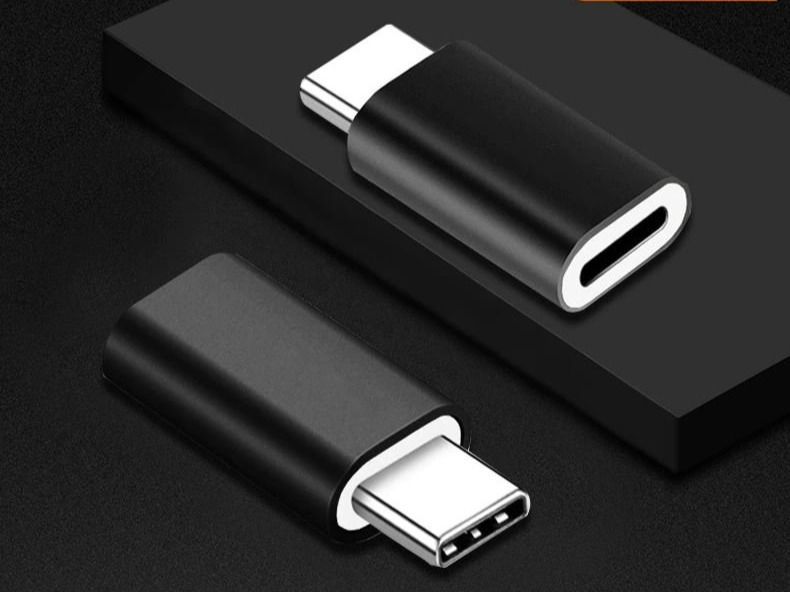 Lightning zu USBC Adapter Kaufen auf Ricardo