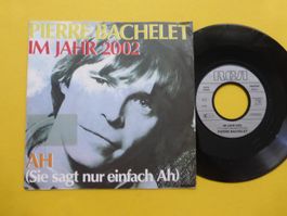 Pierre Bachelet – Im Jahr 2002