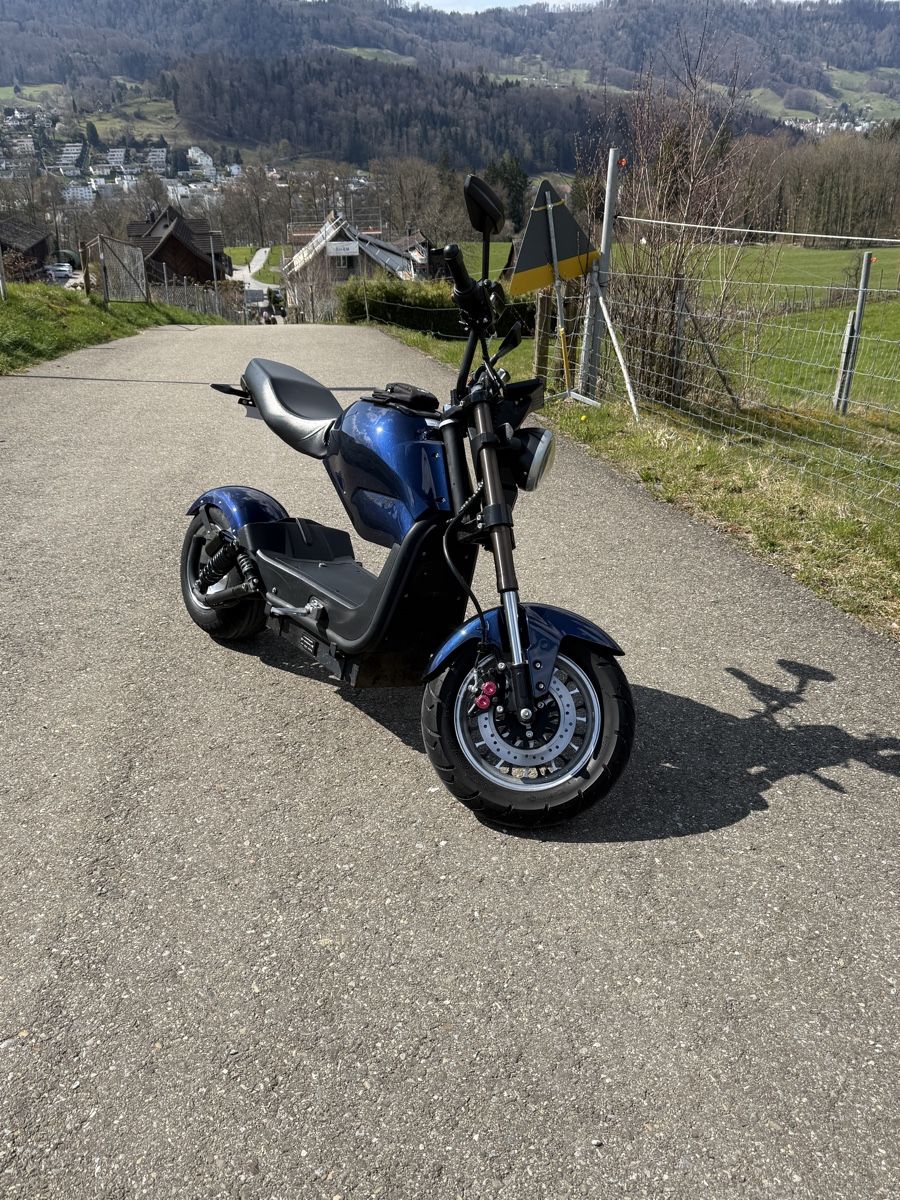 Chopper: City Max RR – Nuovo (secondo la descrizione) da thalwil venduto da Ray7211 3