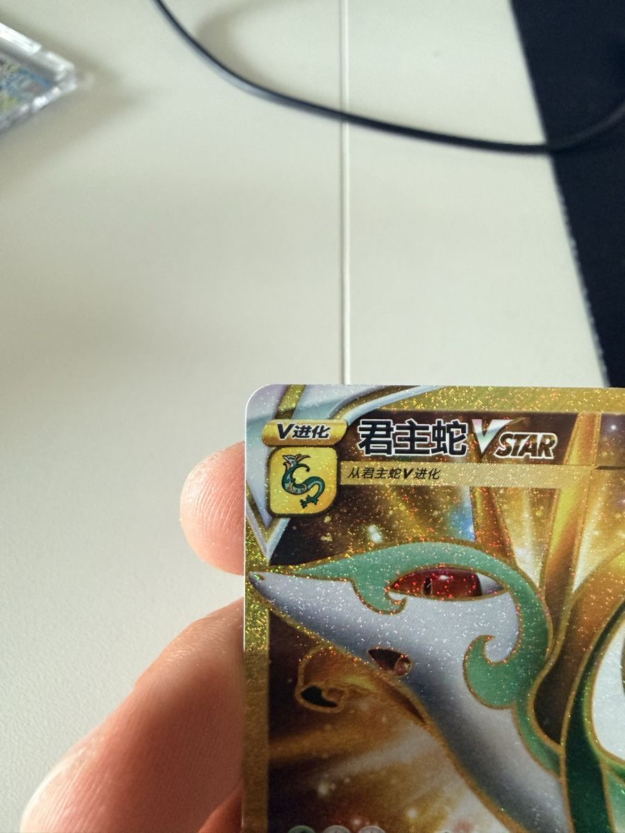 Pokémon Carte collezionabili: Carte Pokémon Rayquaza Vstar – Nuovo (secondo la descrizione) da Pomy venduto da Asw.luxury 1