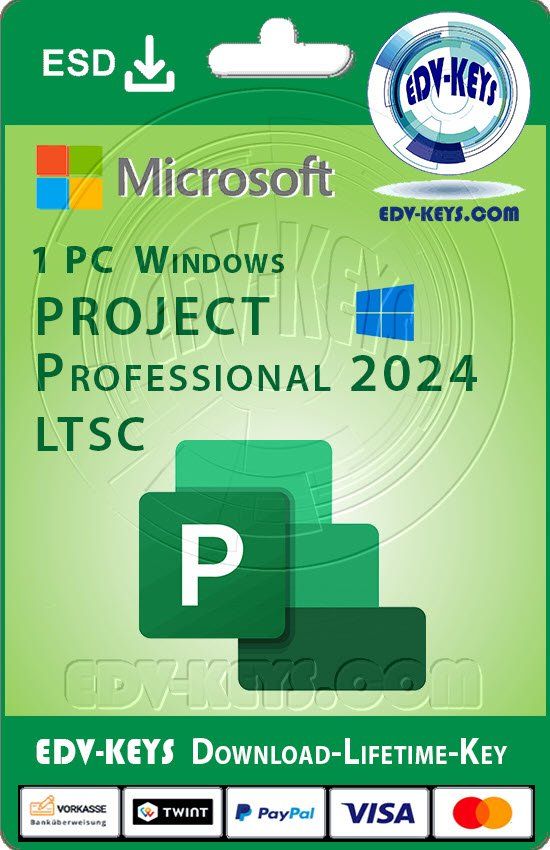 Microsoft Software: Microsoft Project 2024 Professional 1PC Lifetime – Usato da Langenthal venduto da Reda